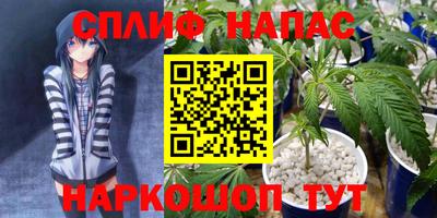 PSILOCYBIN Заводоуковск