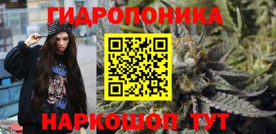 PSILOCYBIN Заводоуковск
