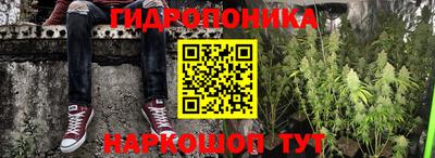 амф Заволжье
