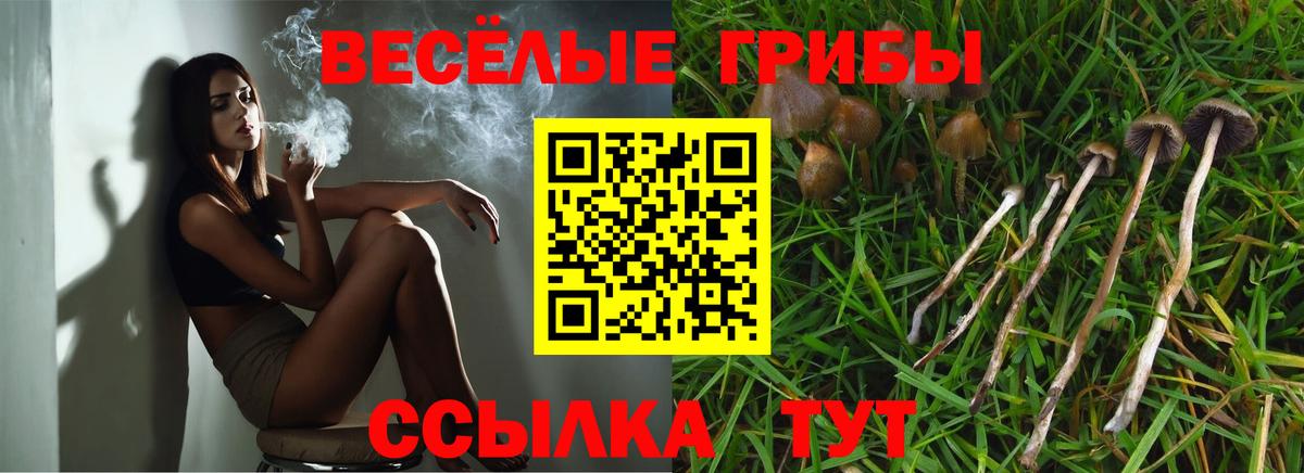 Галлюциногенные грибы Cubensis Медногорск